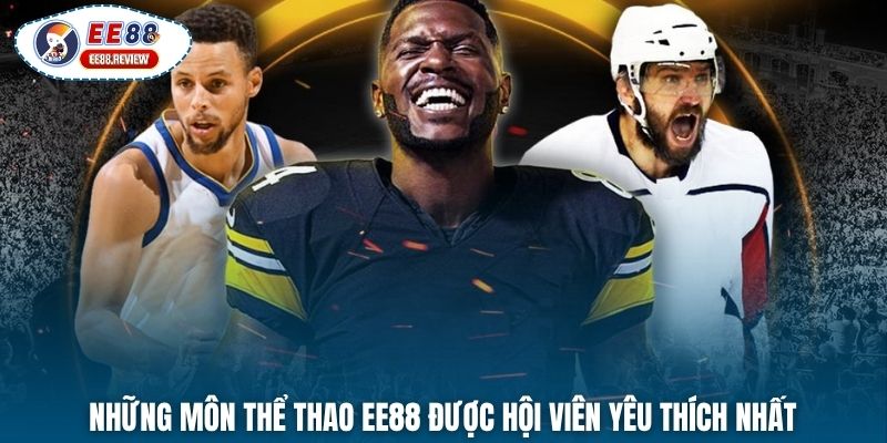 Những môn thể thao EE88 được hội viên yêu thích nhất